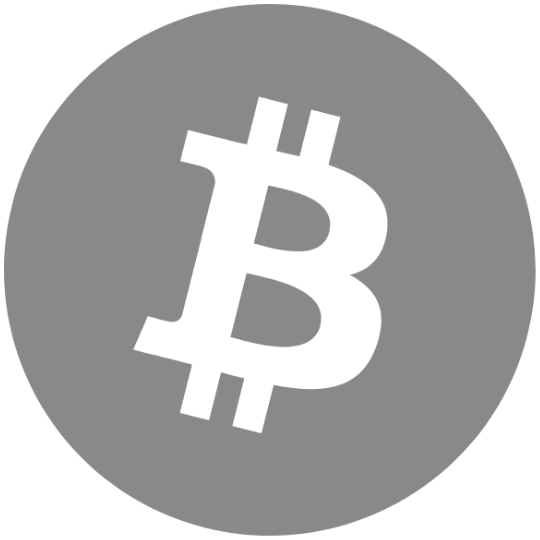 Logo of Bitcoin in grey used to show what currency we accept