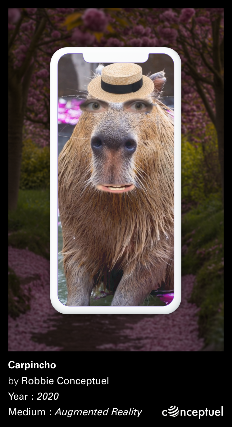 Preview of the AR filter Carpincho made by Robbie Conceptuel displaying a face on a capybara